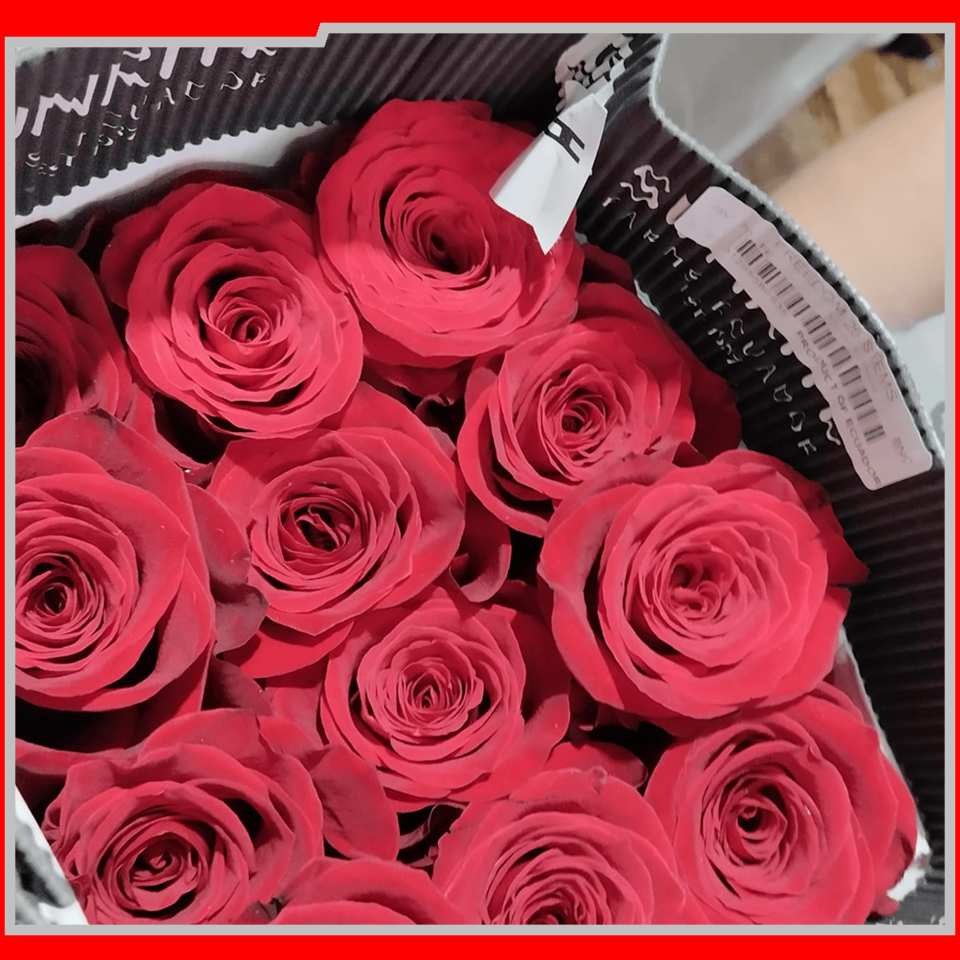 2057 IEAW - FLORICULTURA MORRETES (13)