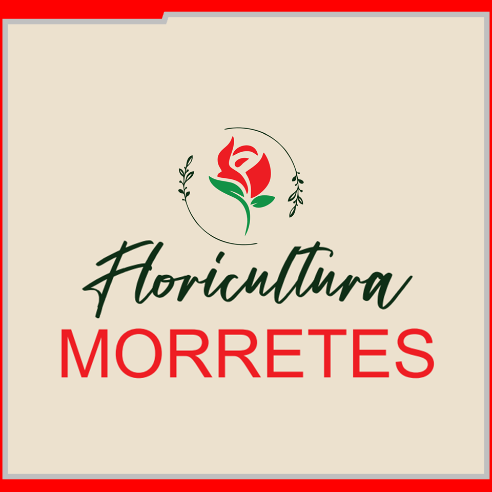 2057 IEAW - FLORICULTURA MORRETES (BANNER 1)