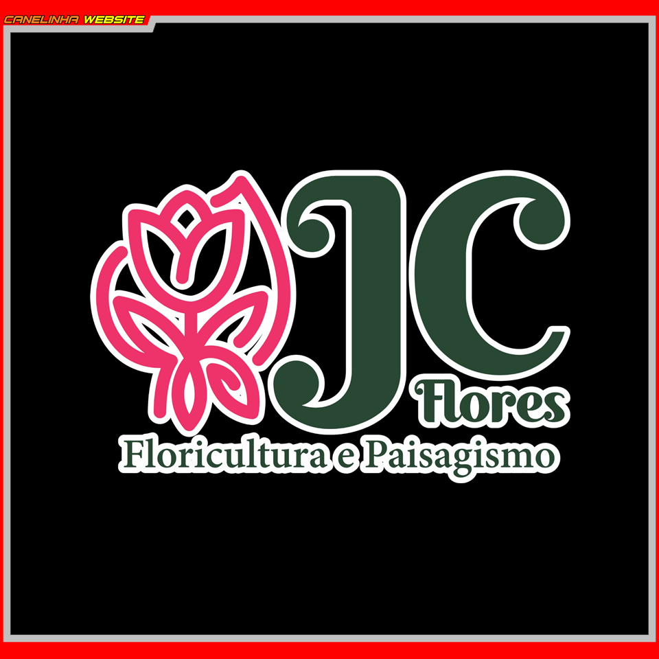 CANELINHA - DADOS BANNERS (3)