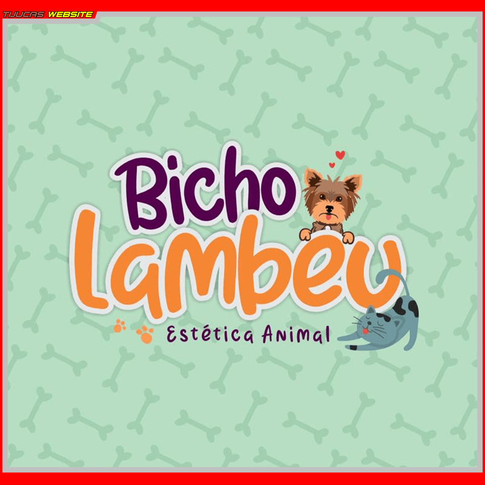 TIJUCAS - DADOS BANNERS (93)