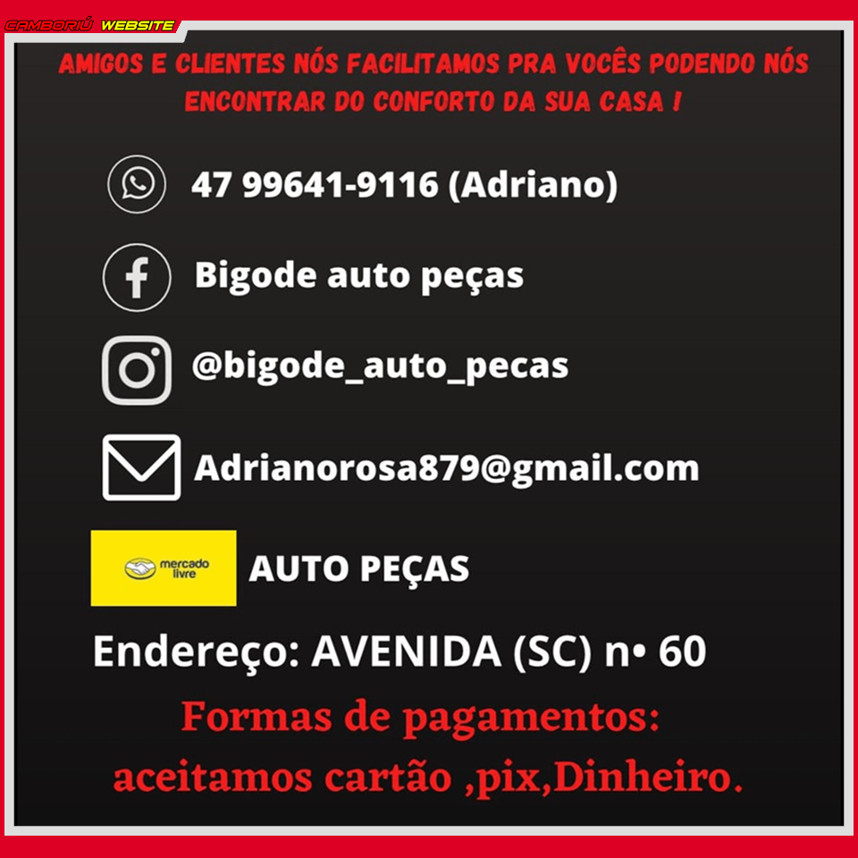 CBW N1982 BIGODE AUTO PEÇAS USADAS (14)